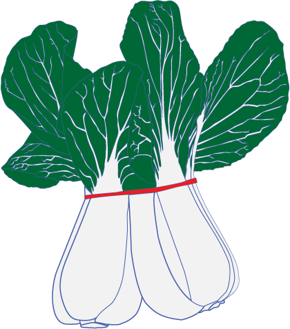 Bok Choy
